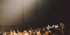 people raising their hands